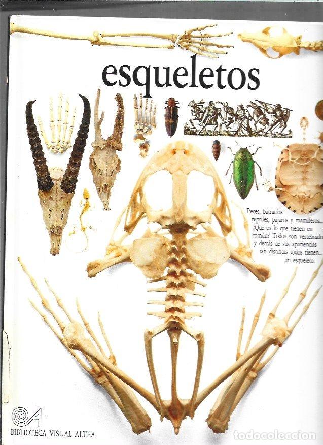 Libros: BIBLIOTECA VISUAL ALTEA: ESQUELETOS - PARKER, STEVE - Foto 1