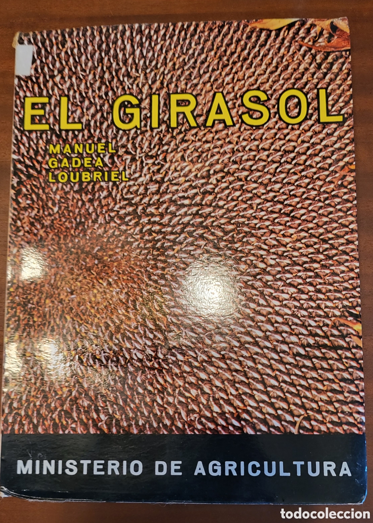 Libros: El Girasol/Manuel Gadea Loubriel - Foto 1