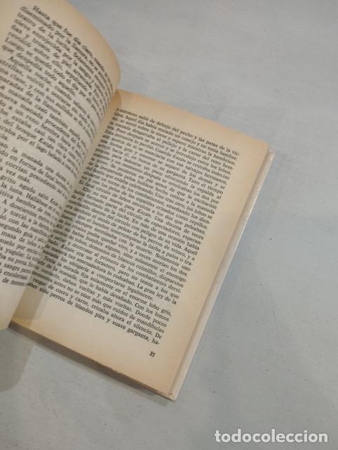 Libros: James O. Curwood - Kaz&aacute;n, perro lobo - Foto 2