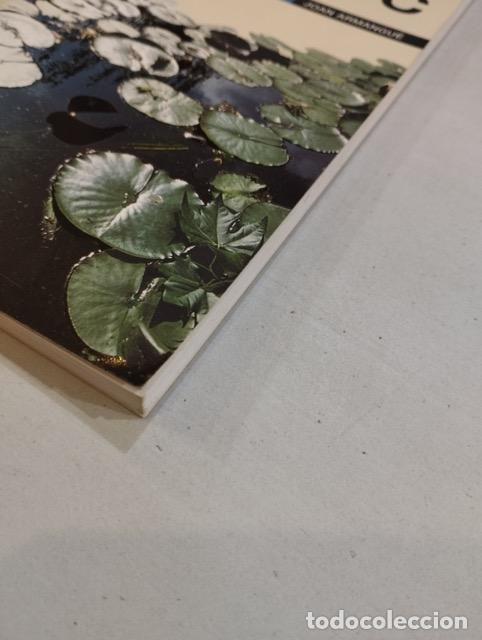 Libros: Joan Armangu&eacute; - La mort entra al parc - Foto 2
