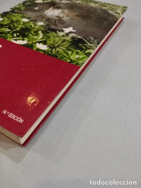 Libros: Carol Matas - Jesper - Foto 2