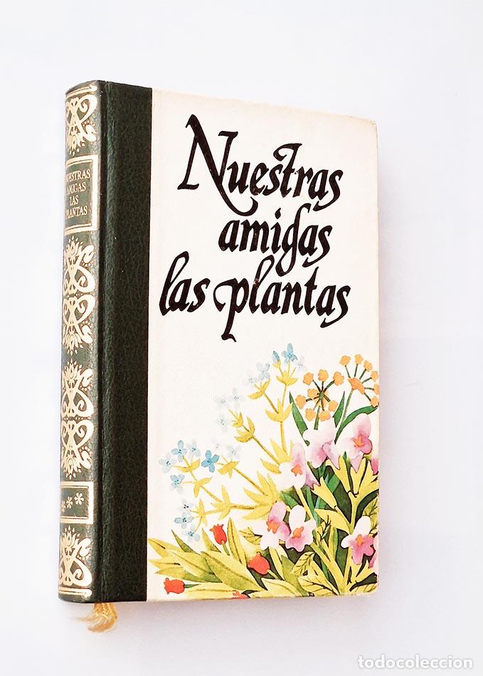 Libros: NUESTRAS AMIGAS LAS PLANTAS - STEVENSON, Robert Louis - Foto 1