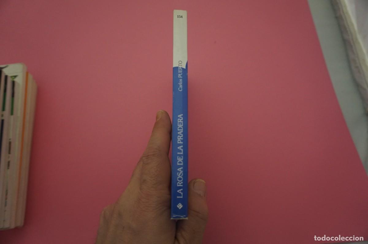 Libros: M3B/ LA ROSA DE LA PRADERA - CARLOS PUERTO / EDELVIVES - Foto 5