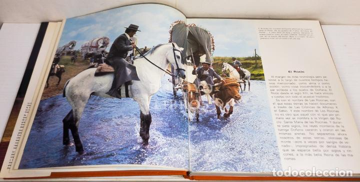 Libros: FERN&Aacute;NDEZ, Juan Antonio. Do&ntilde;ana - Foto 2