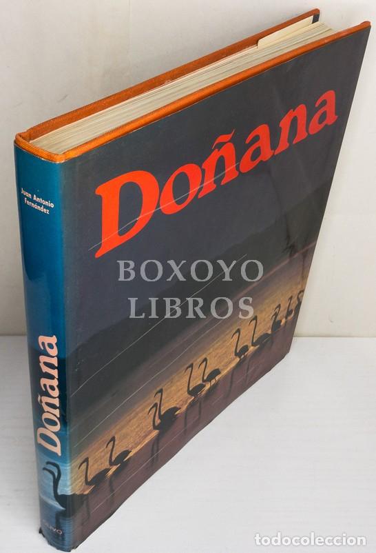 Libros: FERN&Aacute;NDEZ, Juan Antonio. Do&ntilde;ana - Foto 1