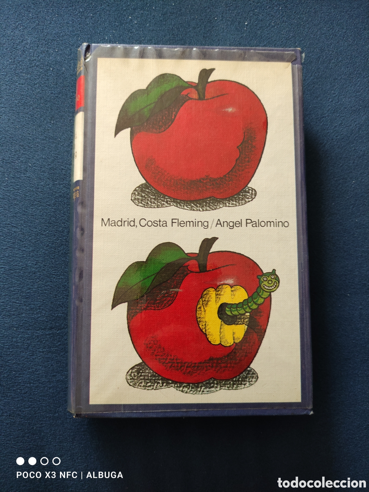 Libros: Madrid, Costa Fleming. &Aacute;ngel Palomino. - Foto 1
