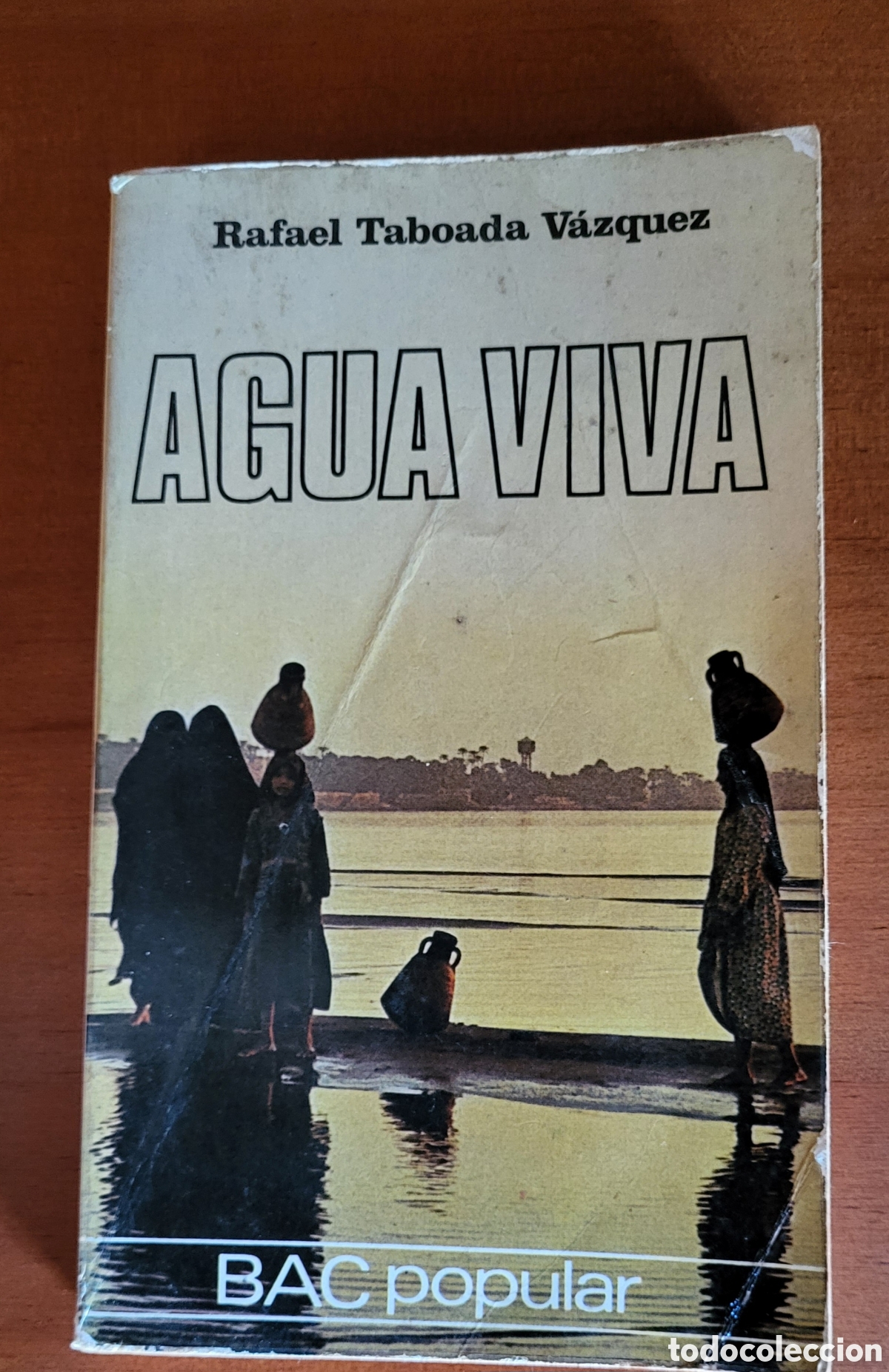 Libros: Agua viva/Rafael Taboada Vazquez - Foto 1