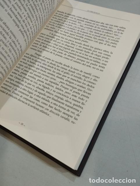 Libros: Fernando Beltr&aacute;n - La vida en ello - Foto 2