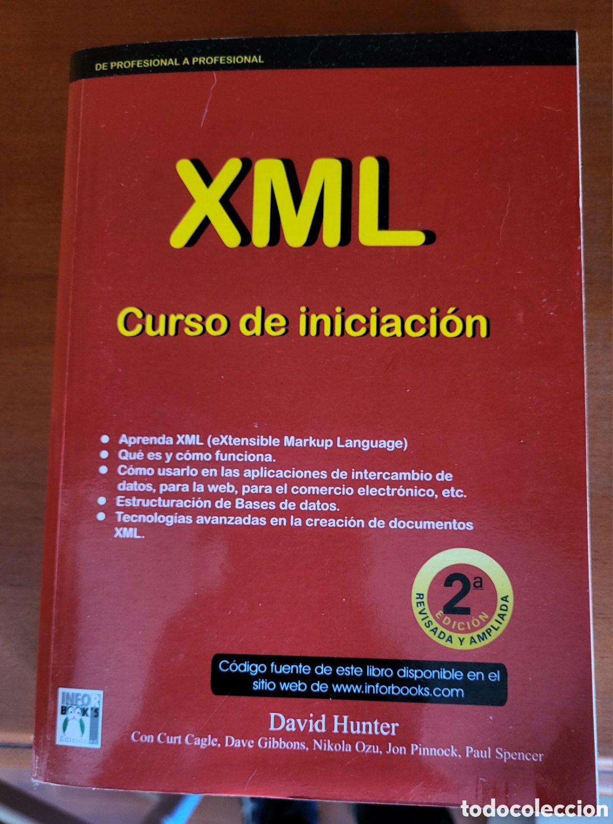 Libros: XML Curso de iniciacion/David Hunter - Foto 1