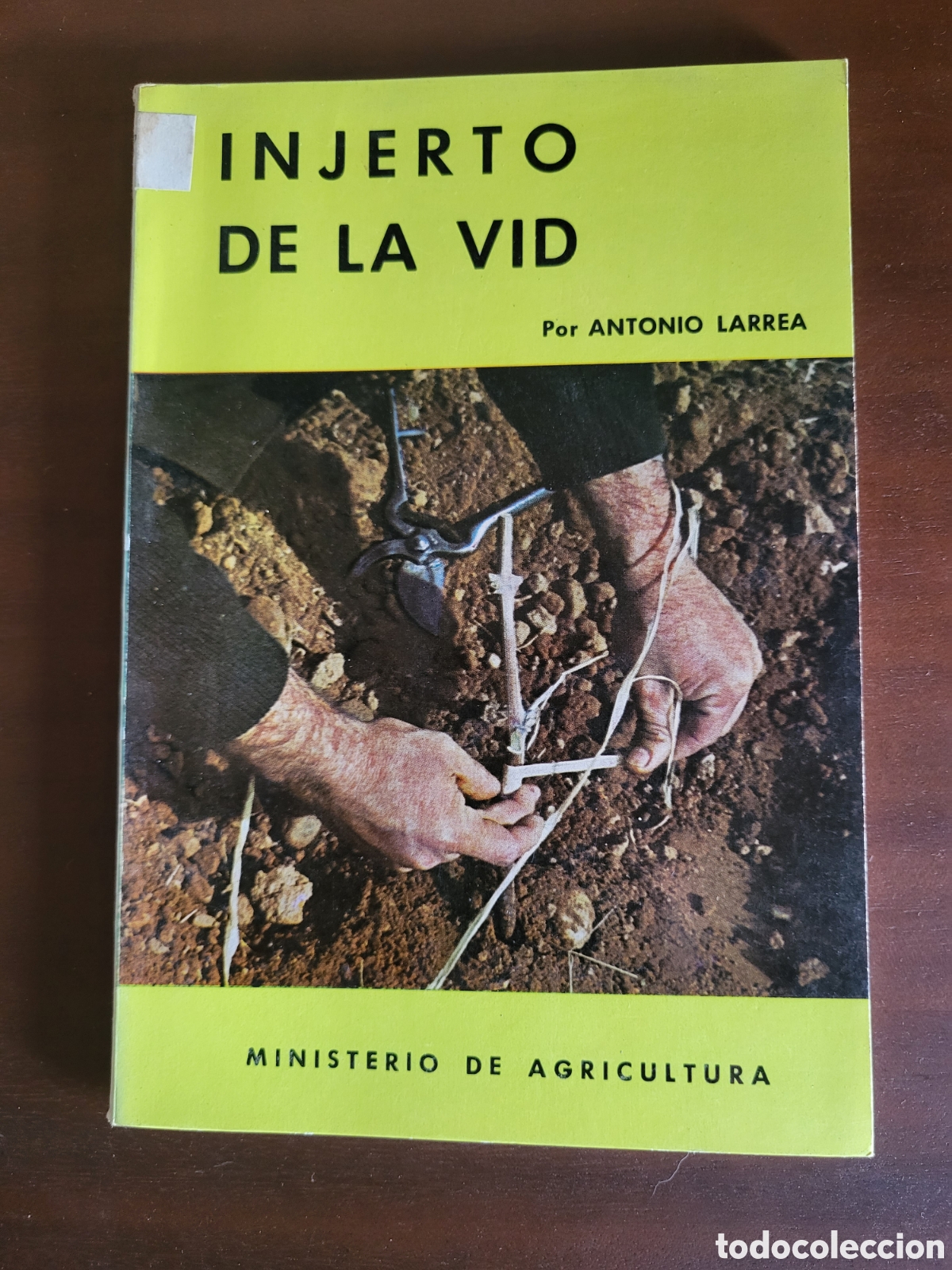 Libros: INJERTO DE LA VID/Antonio Larrea - Foto 1