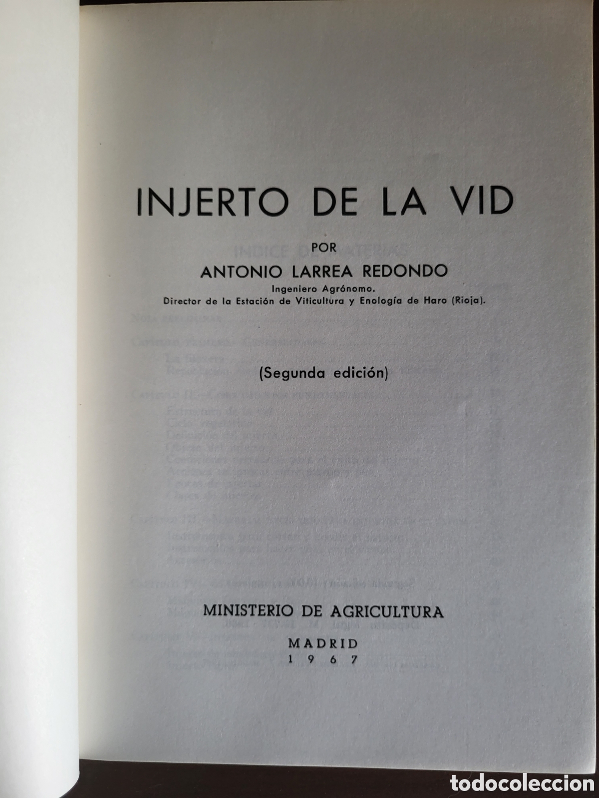 Libros: INJERTO DE LA VID/Antonio Larrea - Foto 2