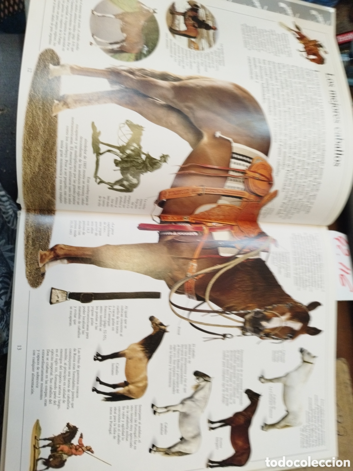 Libros: COWBOYS. Biblioteca Visual Altea - MURDOCH,David,H. - Foto 6