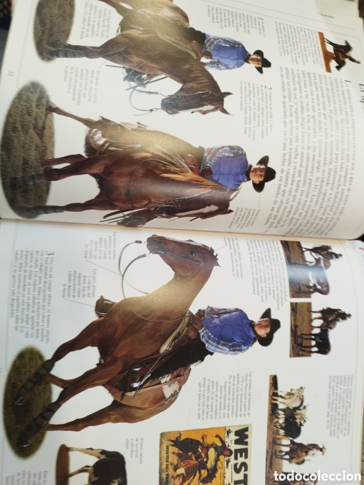 Libros: COWBOYS. Biblioteca Visual Altea - MURDOCH,David,H. - Foto 8