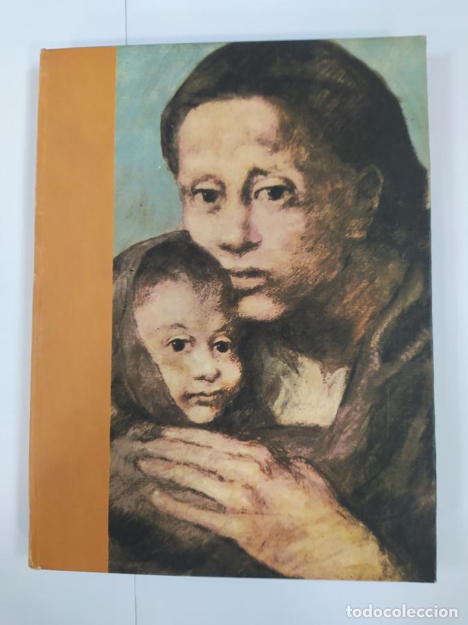 B&uuml;cher: La medicina en el arte. 110 l&aacute;minas. Rioduero Mi&ntilde;&oacute;n. - VV.AA. TDK794