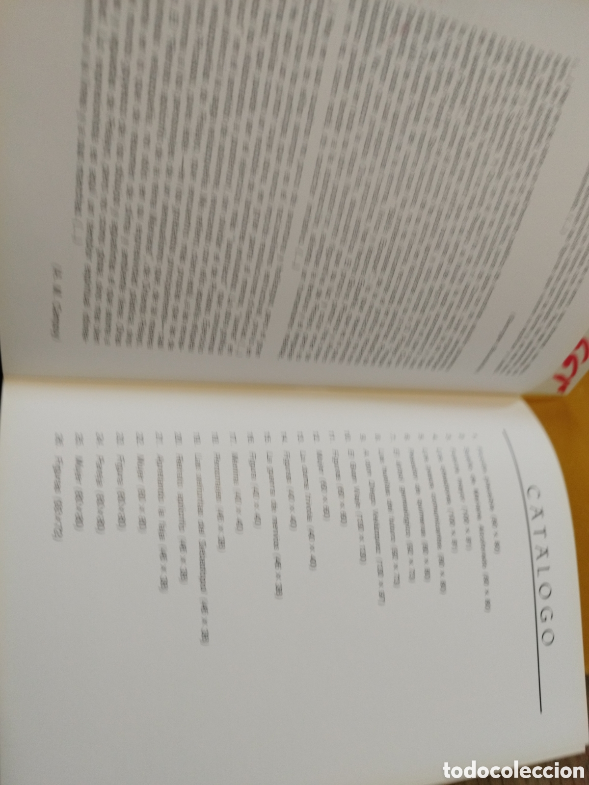 Libros: ORLANDO PELAYO - VALLE ORTI - Foto 3