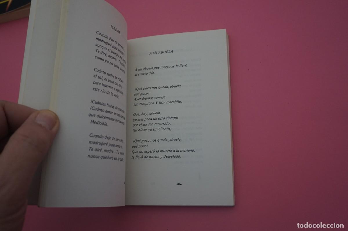 Libros: 6B/ ILUSIONES DE ALMENDRO - JOSE RUIZ GUIRADO - Foto 5