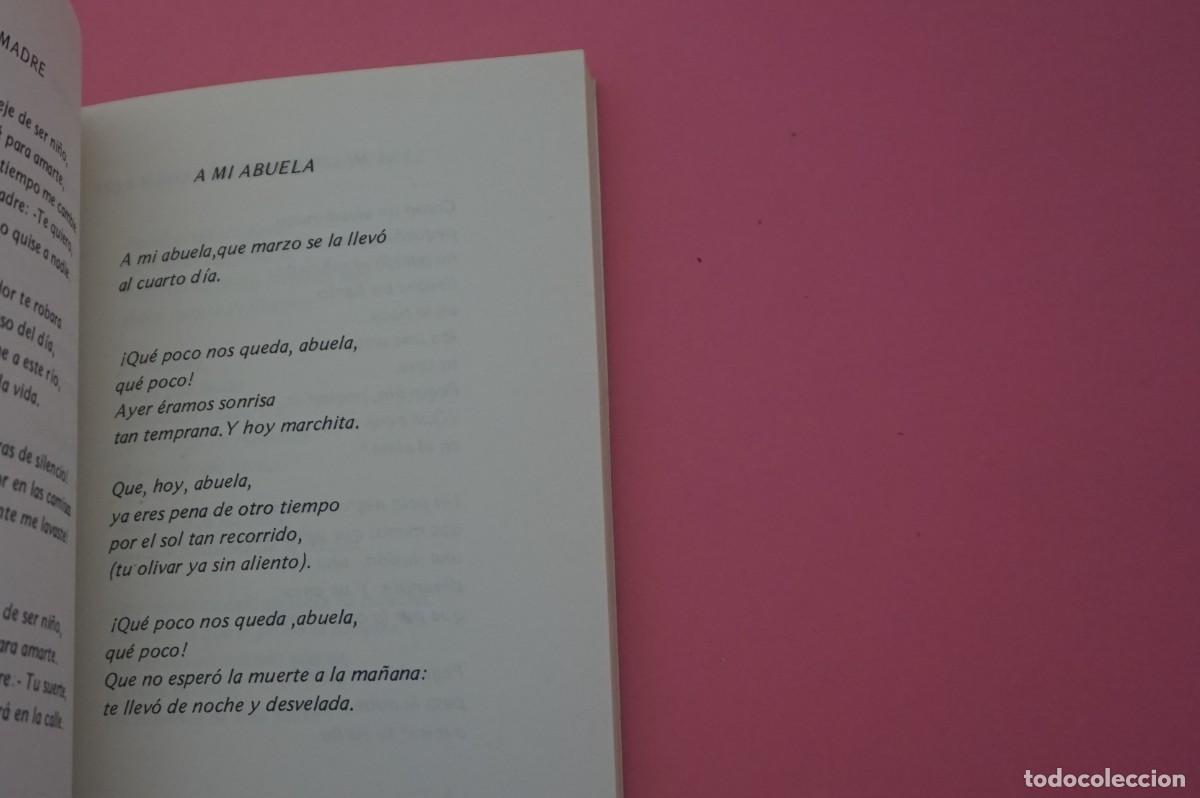 Libros: 6B/ ILUSIONES DE ALMENDRO - JOSE RUIZ GUIRADO - Foto 6