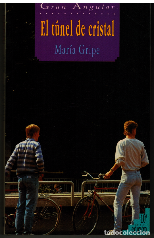 Libros: EL TUNEL DE CRISTAL - MARIA GRIPE - Foto 1