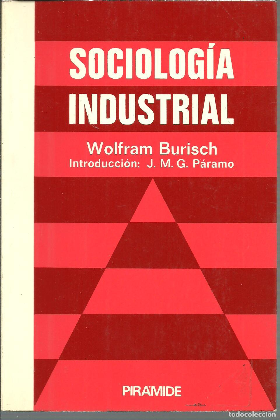Libros: SOCIOLOGIA INDUSTRIAL - WOLFRAM BURISCH - Foto 1