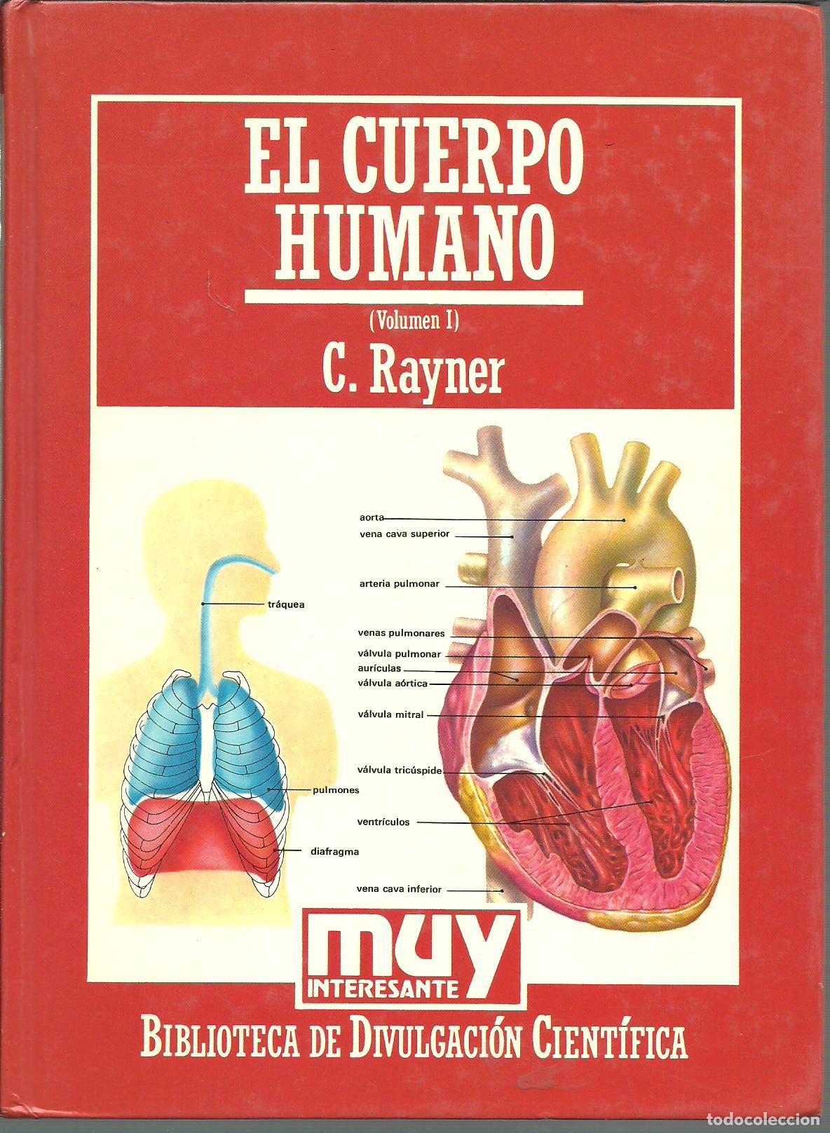 Libros: EL CUERPO HUMANO. TOMO I - C RAYNER - Foto 1