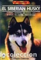 Libros: EL LIBRO DE EL SIBERIAN HUSKY - FILIPPO CATTANEO - Foto 1