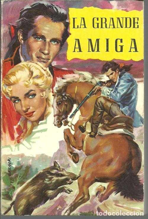 Libros: LA GRANDE AMIGA - PIERRE L ERMITE - Foto 1
