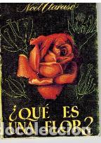 Libros: &iquest;QUE ES UNA FLOR? - NOEL CLARASO - Foto 1