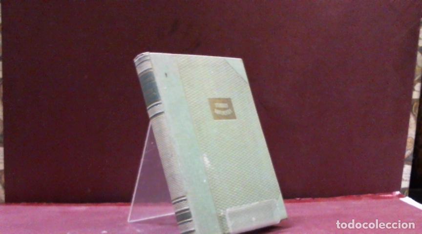 Libros: TURRIS EBURNEA RODOLFO L FONSECA - Foto 1