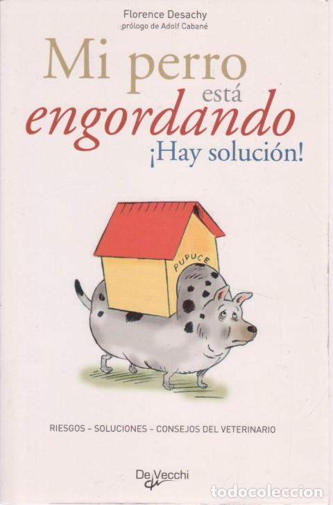 Libros: MI PERRO EST&Aacute; ENGORDANDO. HAY SOLUCI&Oacute;N - FLORENCE DESACHY - Foto 1