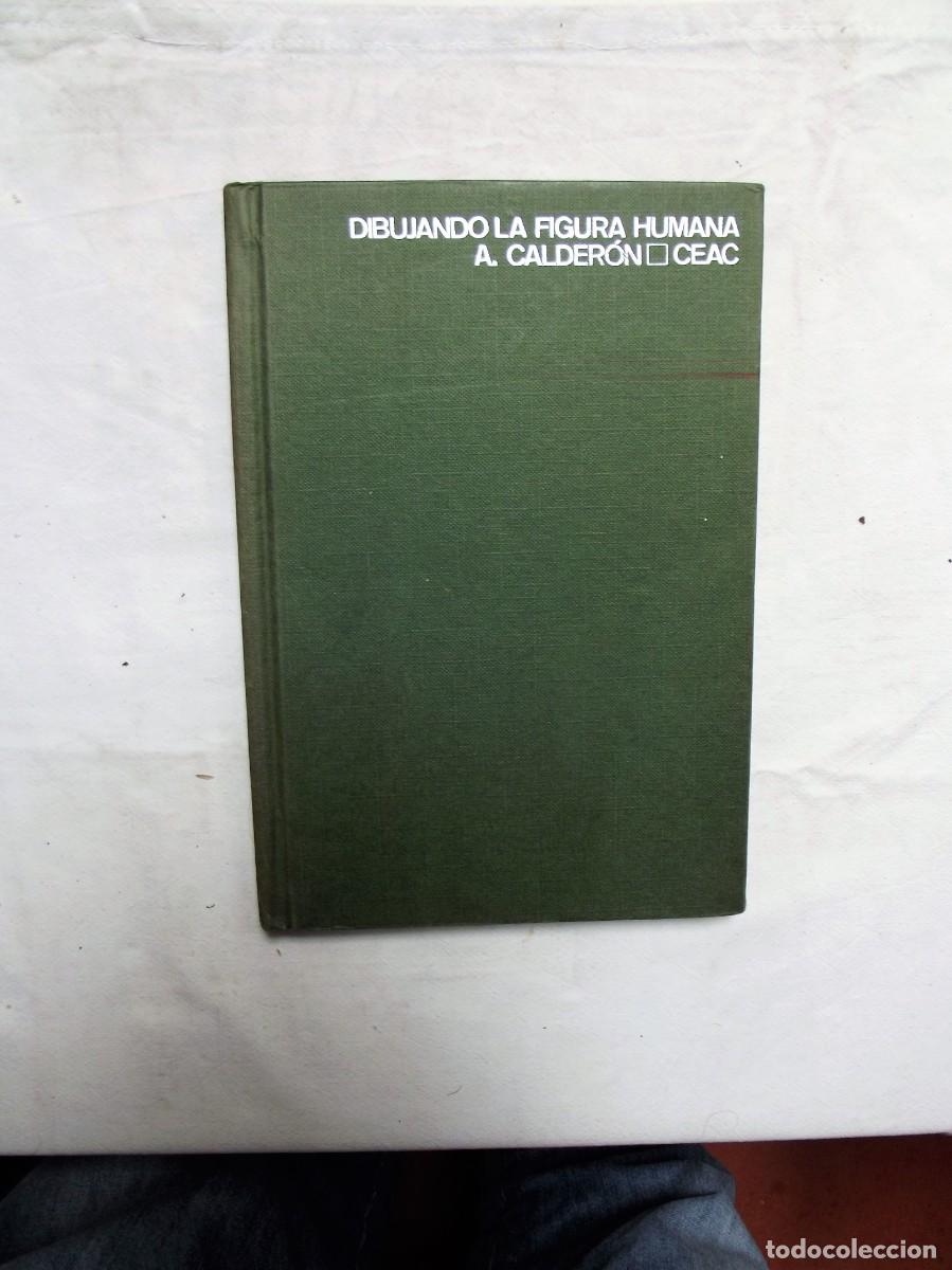 Libros: DIBUJANDO LA FIGURA HUMANA DE A. CALDERON - Foto 1