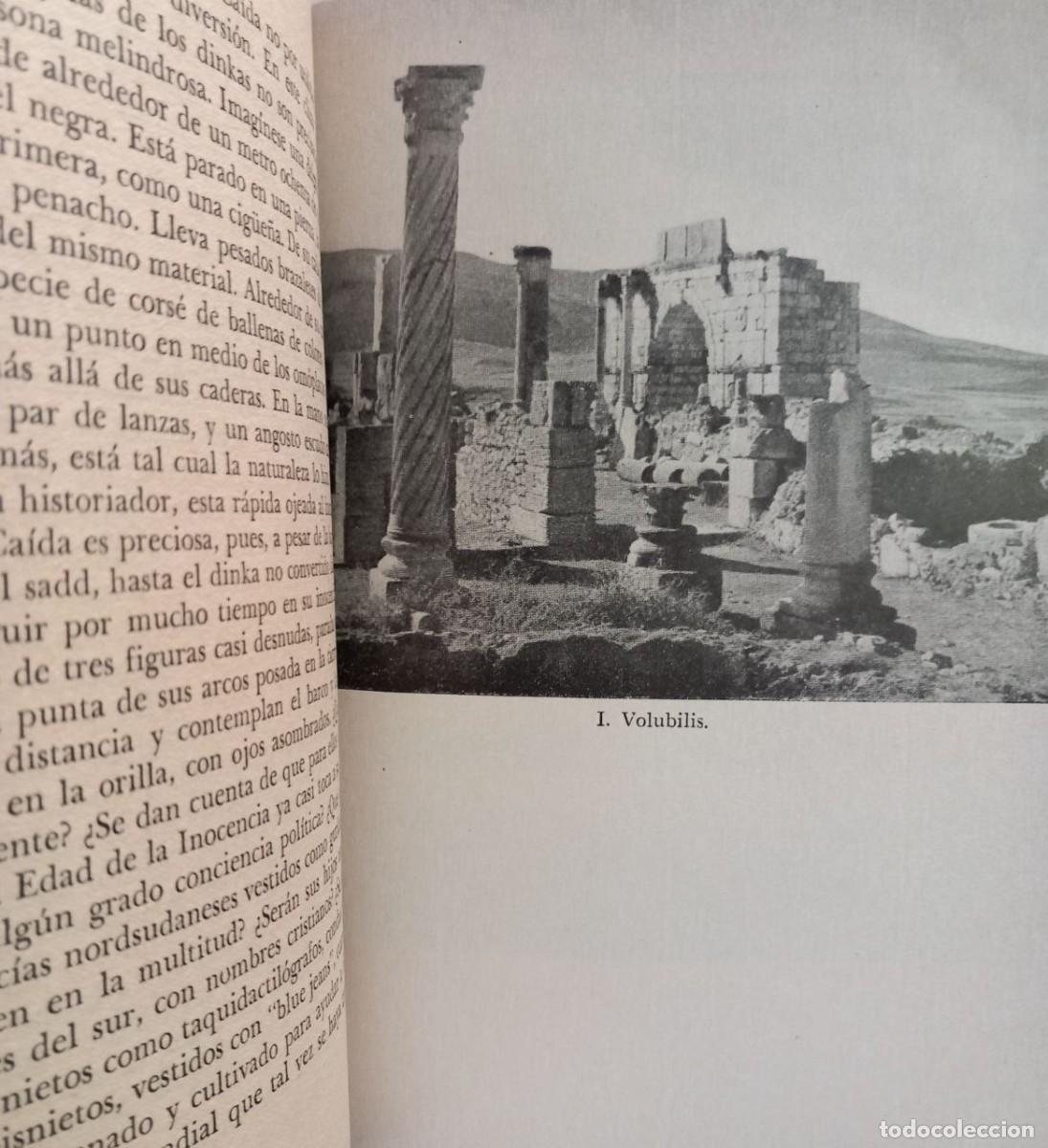 Libros: Entre el N&iacute;ger y el NIlo. - TOYNBEE, Arnold J.: - Foto 2