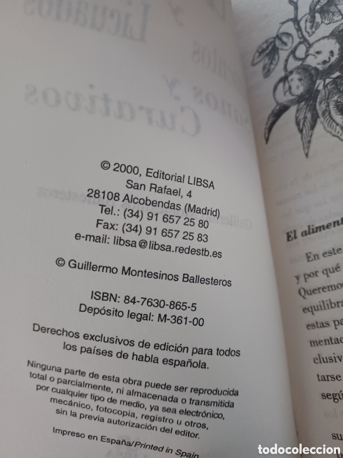 Libros: Barybook 210 Zumos y alimentos licuados Libsa - Foto 4