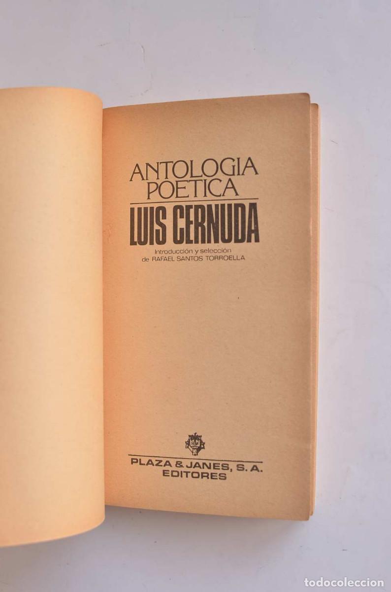 Libros: Luis Cernuda. Antolog&iacute;a po&eacute;tica - CERNUDA, Luis - Foto 2