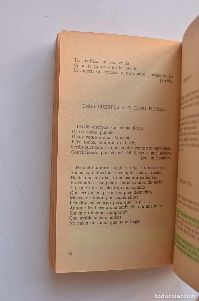 Libros: Luis Cernuda. Antolog&iacute;a po&eacute;tica - CERNUDA, Luis - Foto 4