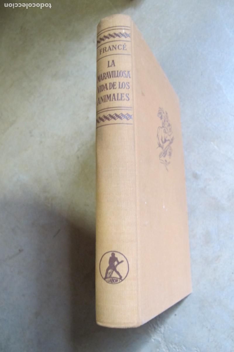 Libros: LA MARAVILLOSA VIDA DE LAS PLANTAS Y VIDA DE LOS ANIMALES.. R. H FRANCE