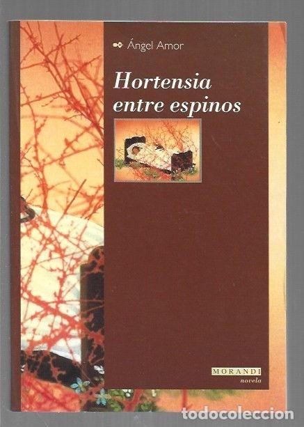 Libros: HORTENSIA ENTRE ESPINOS - AMOR, ANGEL - Foto 1