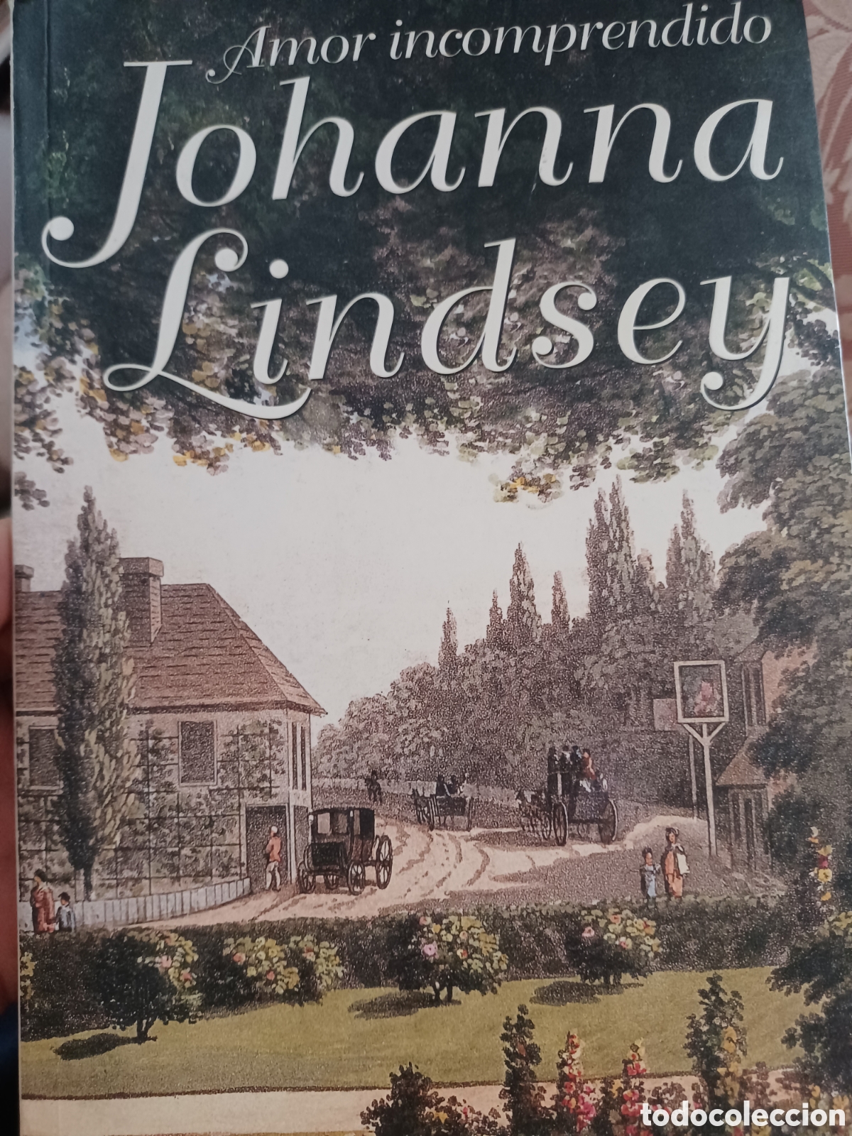Libros: Barybook 215 Amor incomprendido Yohana Lindsey plaza y Janes
