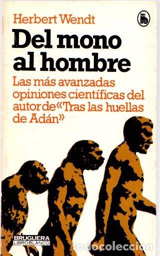 Libros: Del mono al hombre - Wendt, Herbert - Foto 1