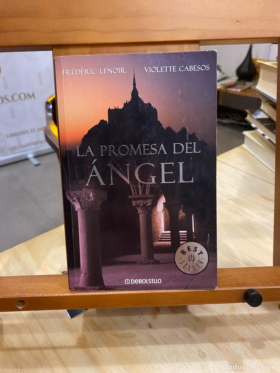 Libros: La promesa del &Aacute;ngel de Fr&eacute;d&eacute;ric Lenoir - Foto 1
