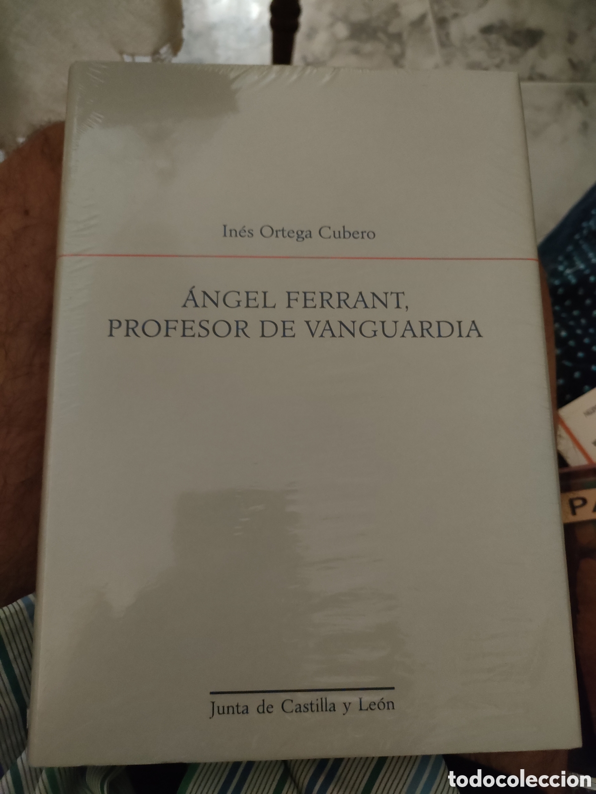 Libros: &Aacute;ngel Ferrante profesor de Vanguardia In&eacute;s Ortega cubero - Foto 1