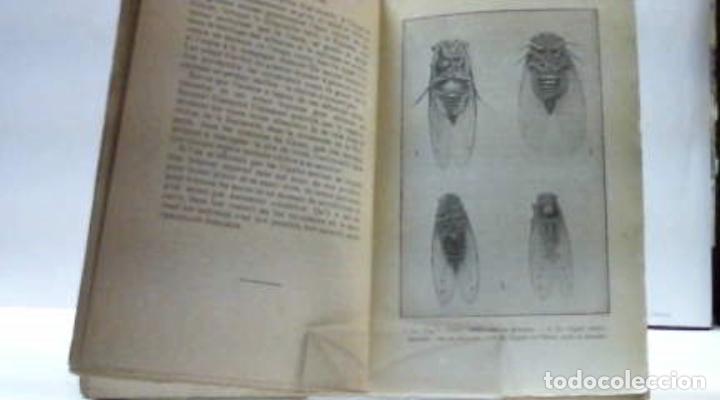 Libros: MOEURS DES INSECTES J H FABRE - Foto 3