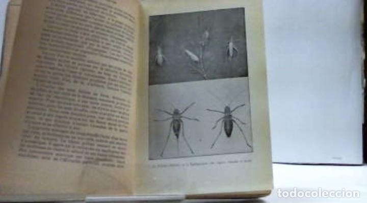 Libros: MOEURS DES INSECTES J H FABRE - Foto 5