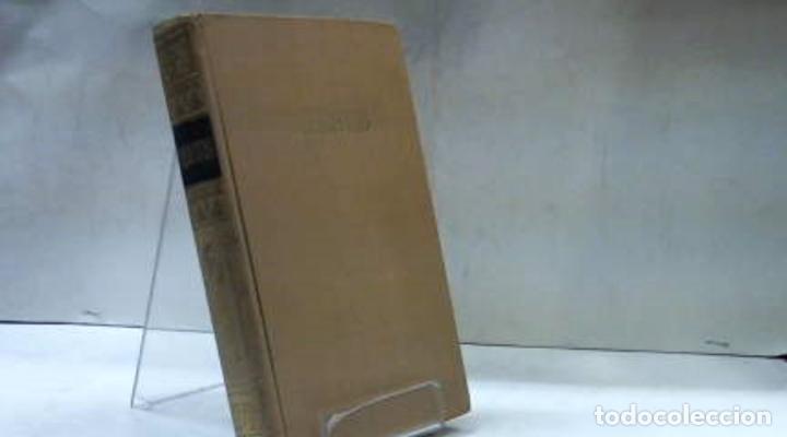 Libros: NEFERTITI MAX KRONBERG - Foto 2