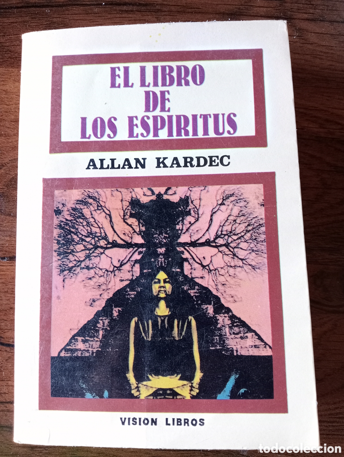 Libros: El libro de los esp&iacute;ritus 1979. Allan Kardec - Foto 1