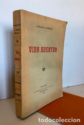 Libros: VIDA ADENTRO - Delgado Carrasco, J. - Foto 1