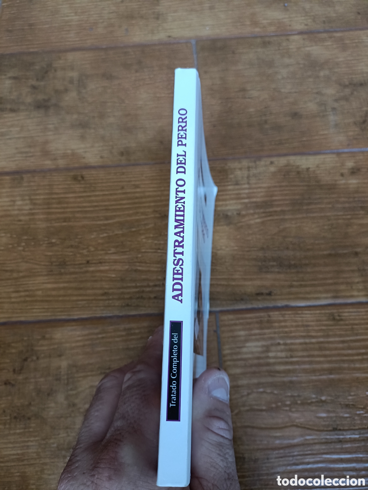 Libros: Libro Adiestramiento del Perro -Dorman Pantioeder- - Foto 3