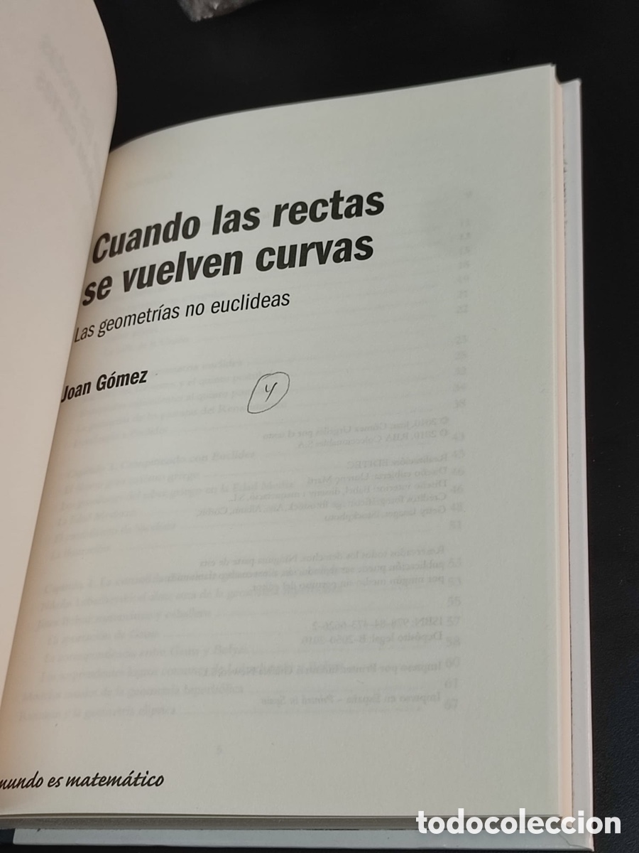 Libros: Joan G&oacute;mez Cuando las rectas se vuelven curvas - Foto 2