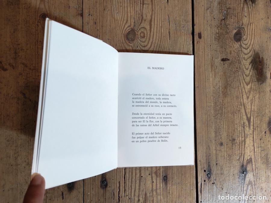 Libros: Viacrucis. - Casanueva, Bernardo. - Foto 3