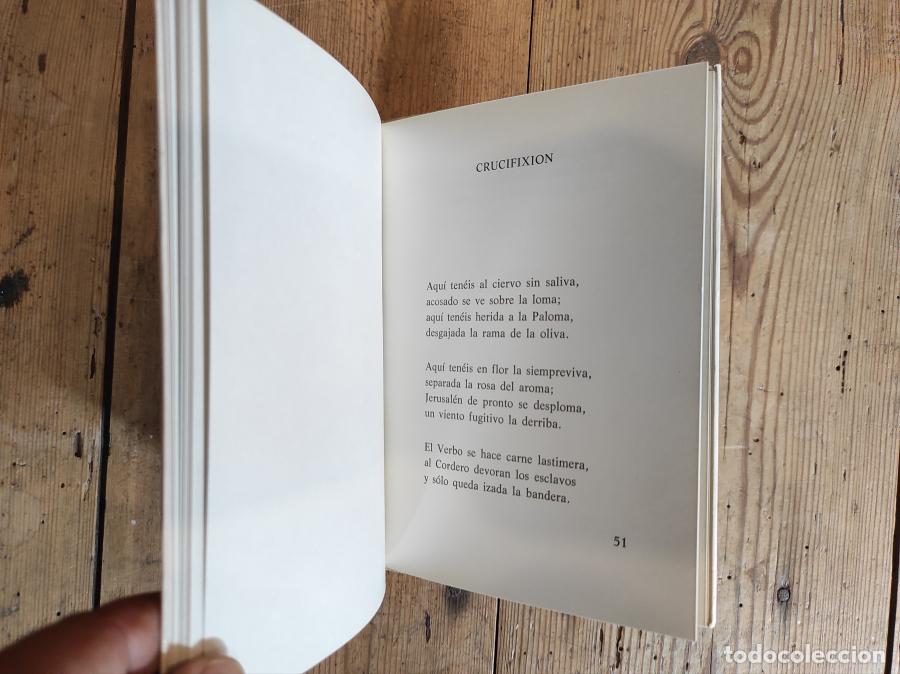 Libros: Viacrucis. - Casanueva, Bernardo. - Foto 4