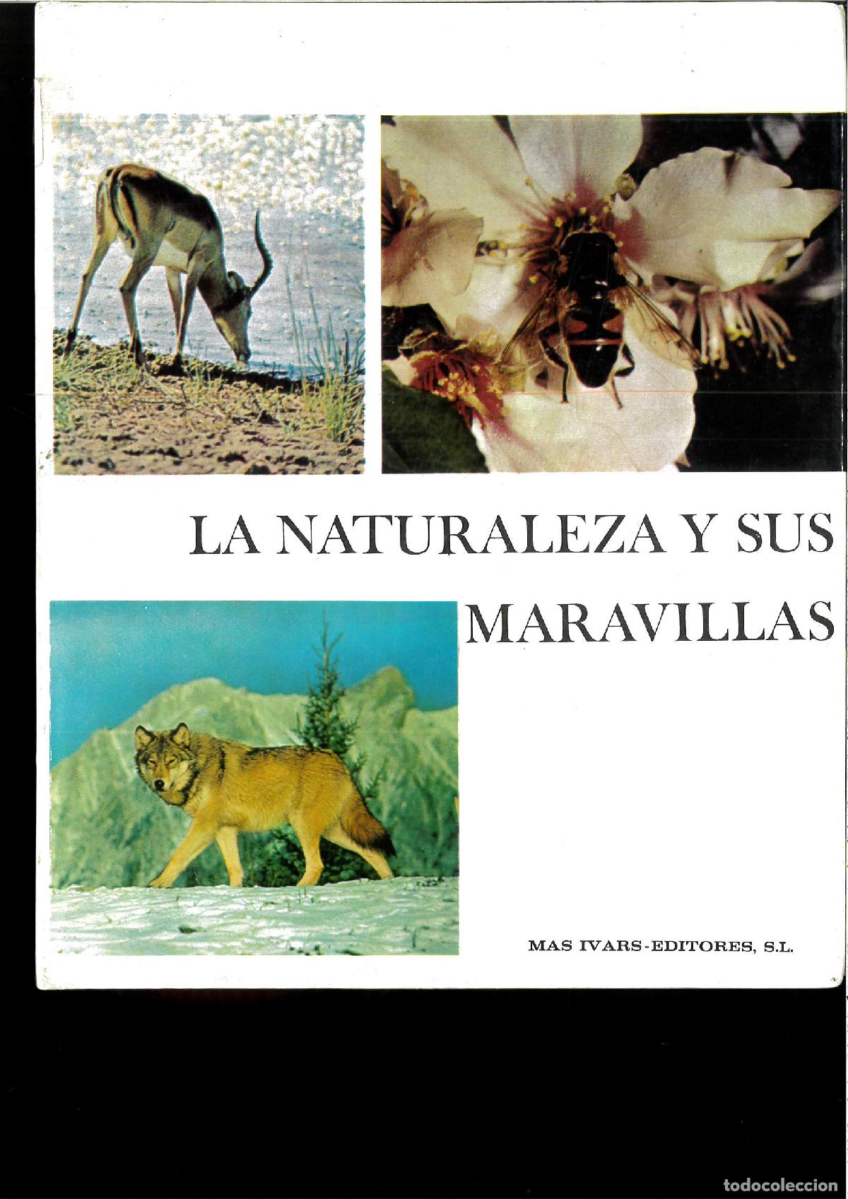 Libros: La reina de las abejas - Melegari, Vezio - Foto 1